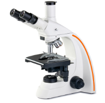 LW300-28LT 生物显微镜