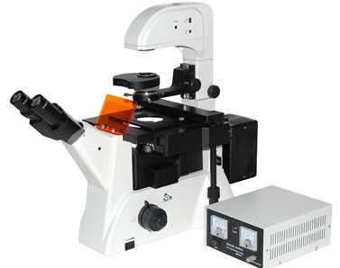 LWD300-38LFT​ 无穷远倒置荧光显微镜