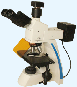 LW600LFT 荧光显微镜