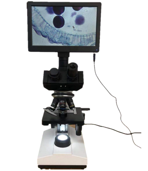 LW100V生物显微镜