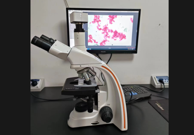 正置生物显微镜连接电脑显示屏