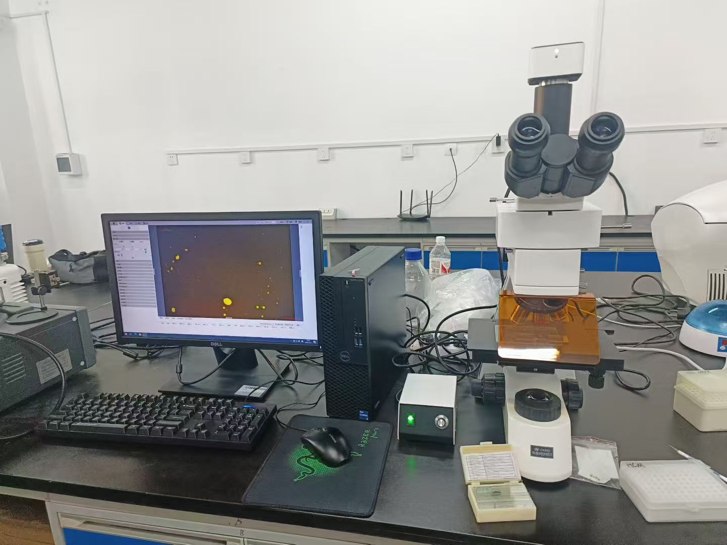 正置荧光显微镜