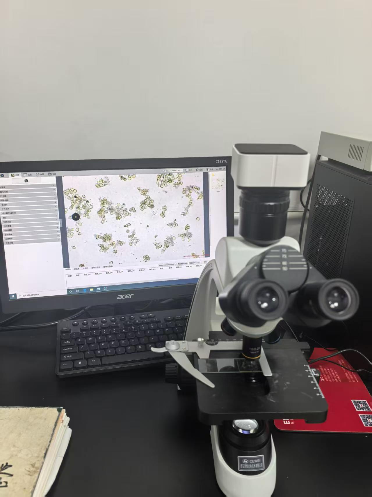 生物显微镜看蒲黄花粉粒