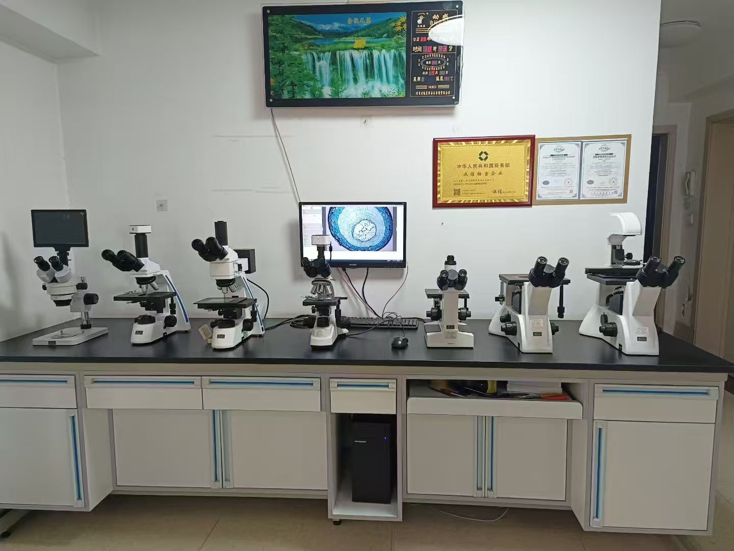 免费试用及演示服务